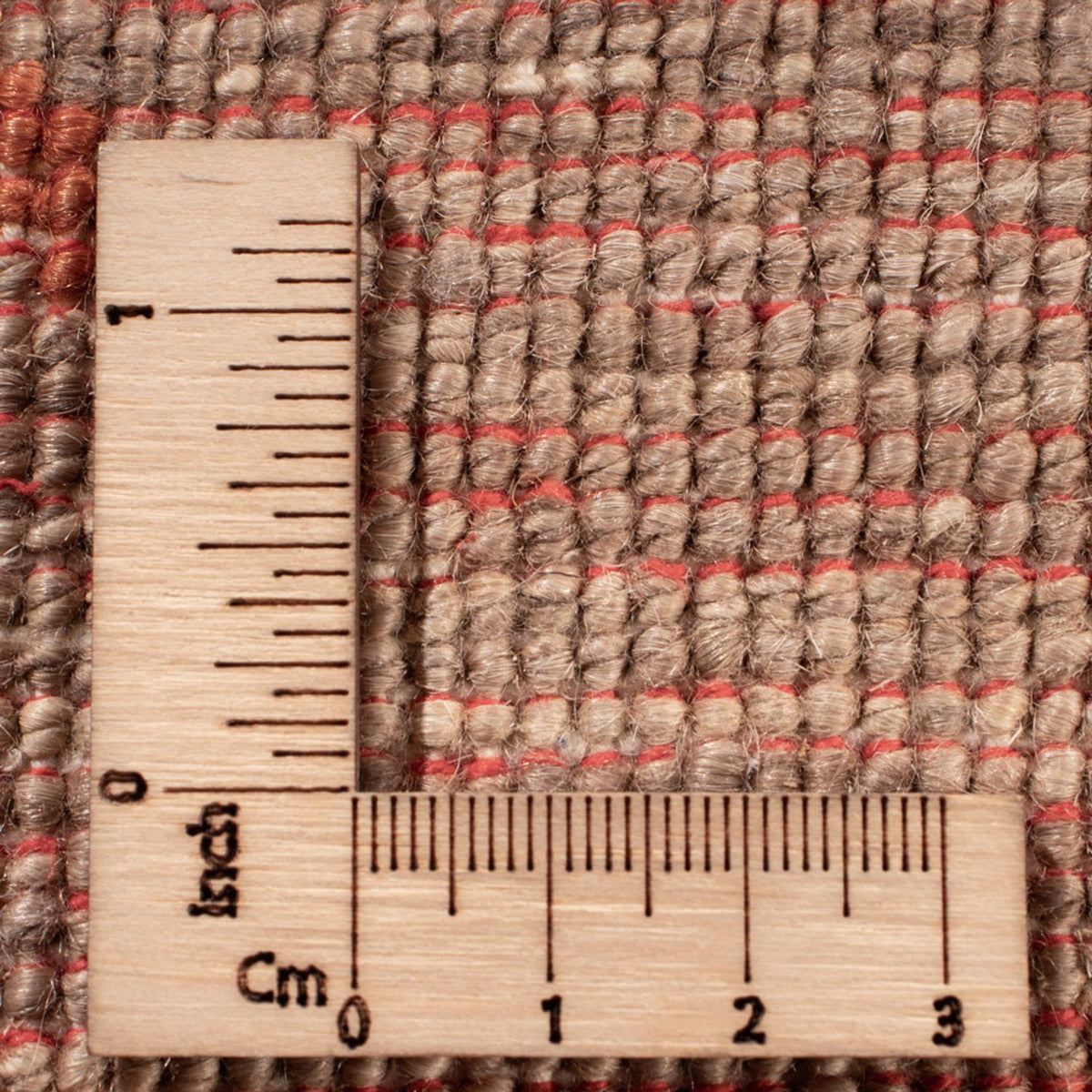 Tapis Ziegler - Ariana - 300 x 242 cm - beige