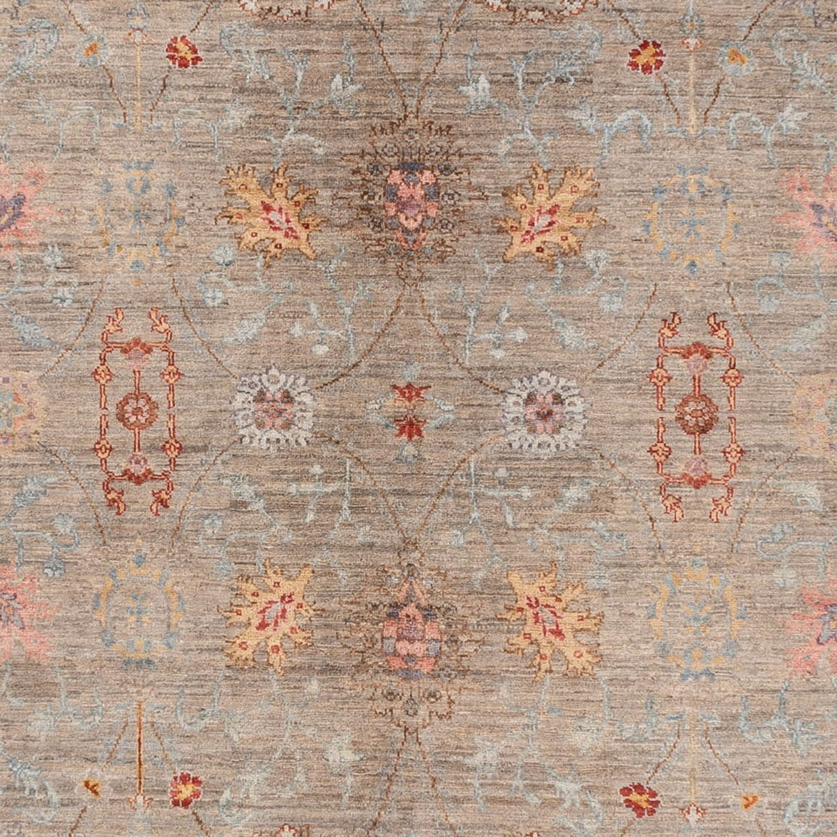 Tapis Ziegler - Ariana - 376 x 270 cm - beige foncé