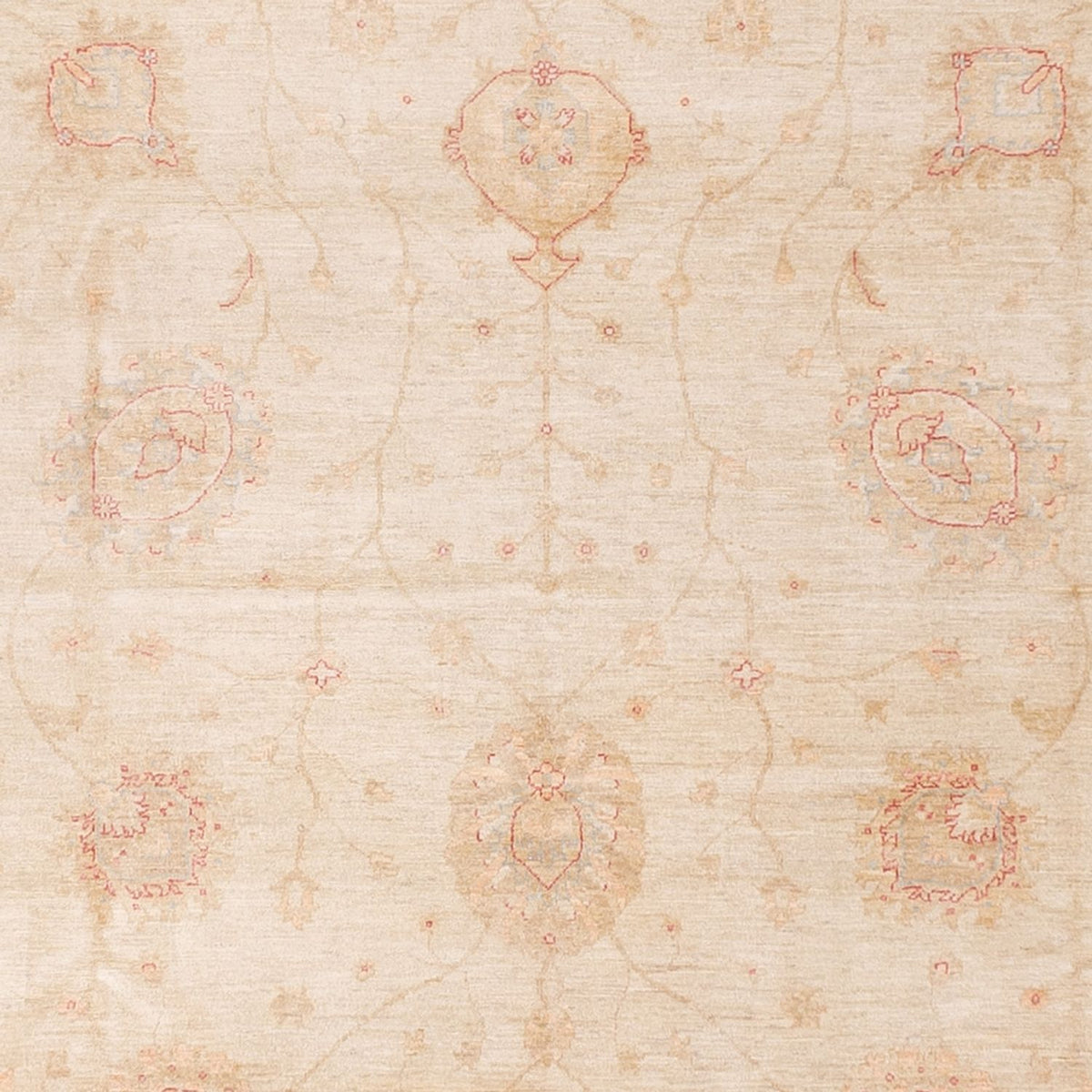 Tapis Ziegler - 689 x 402 cm - beige