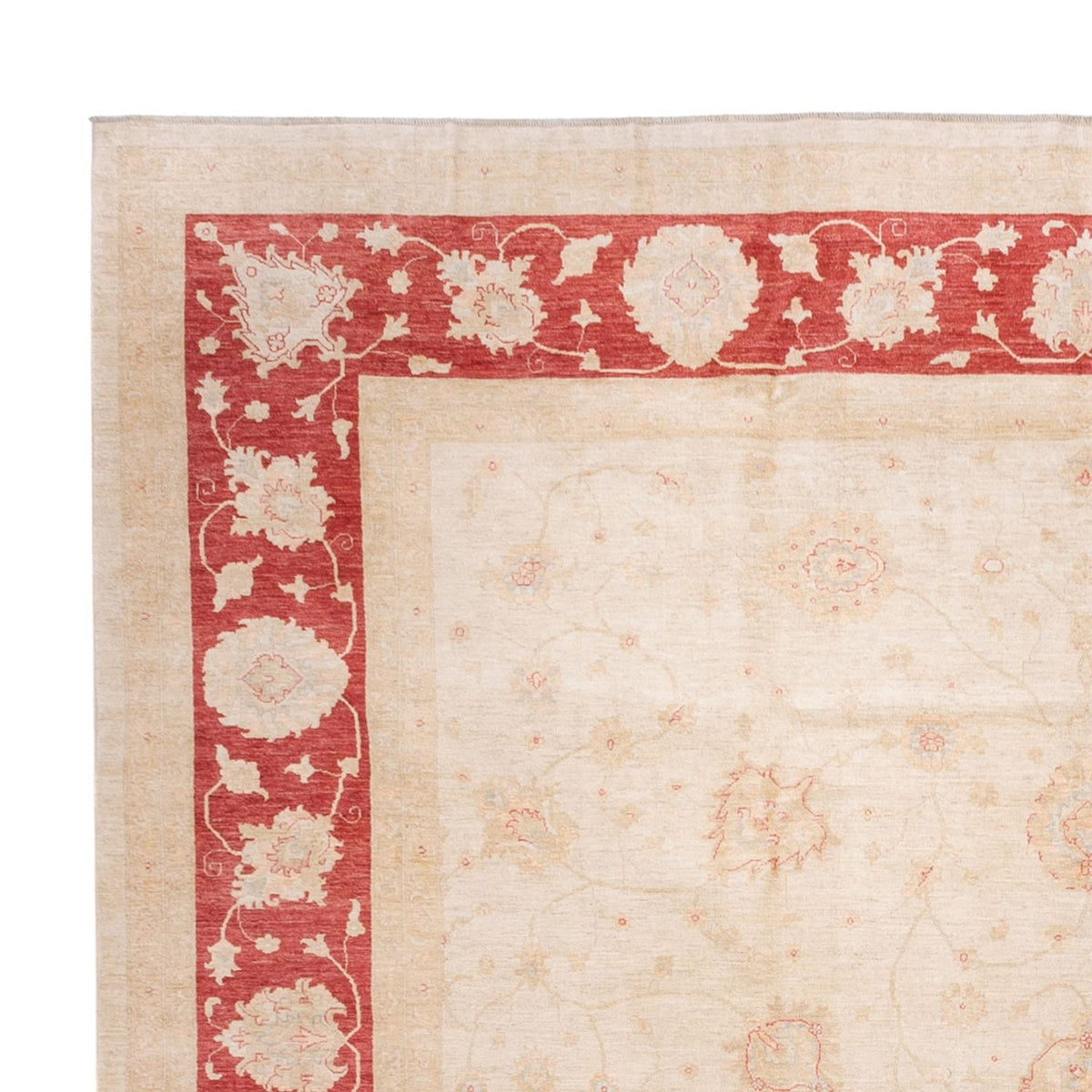 Tapis Ziegler - 689 x 402 cm - beige