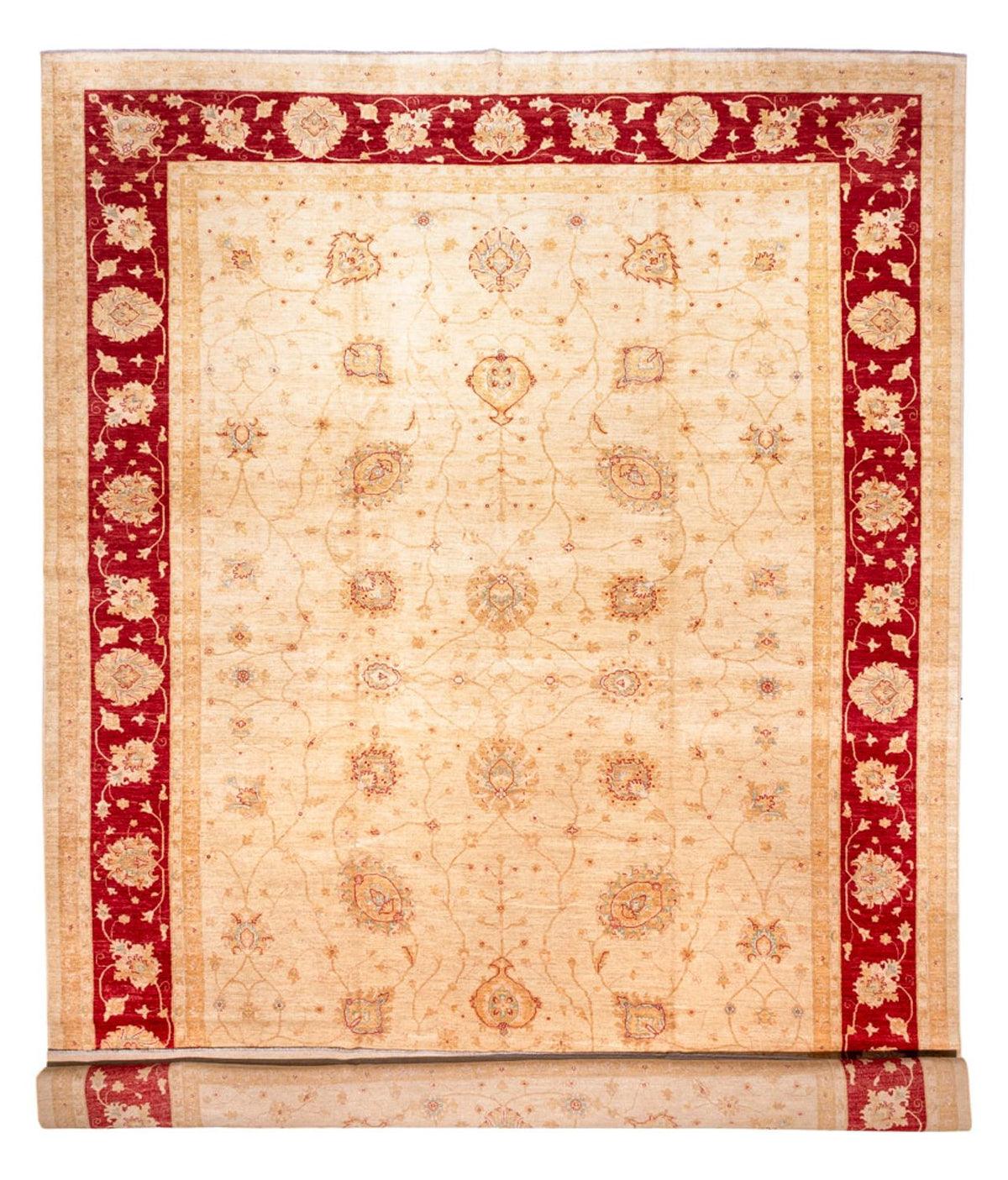 Tapis Ziegler - 584 x 394 cm - beige