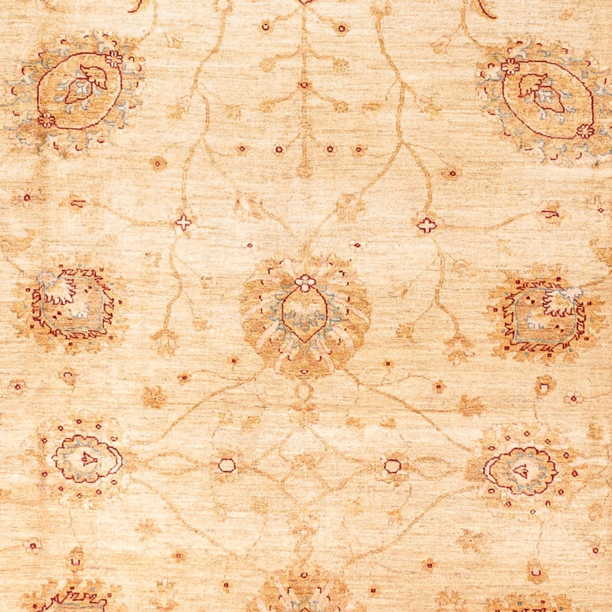Tapis Ziegler - 584 x 394 cm - beige
