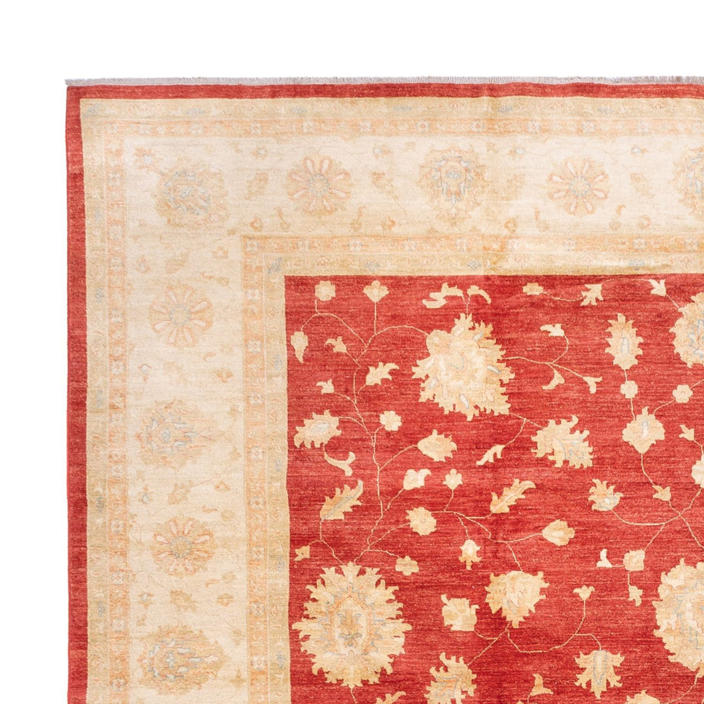 Tapis Ziegler 686x402cm - Tapis oriental