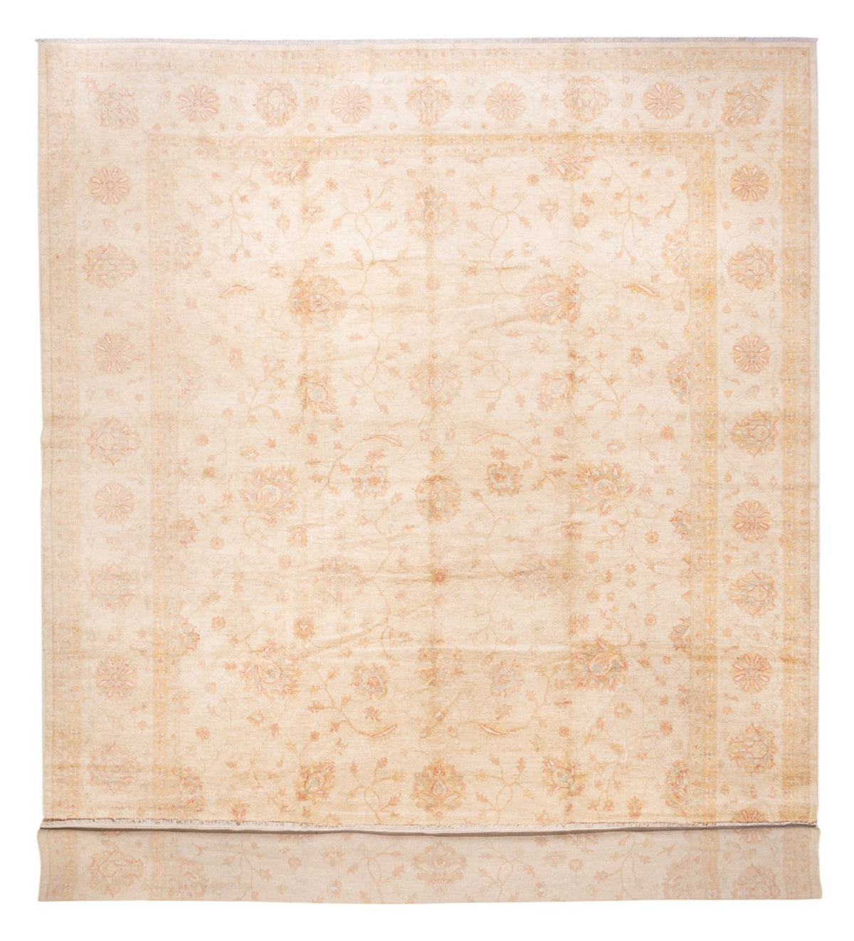 Tapis Ziegler - 592 x 403 cm - beige