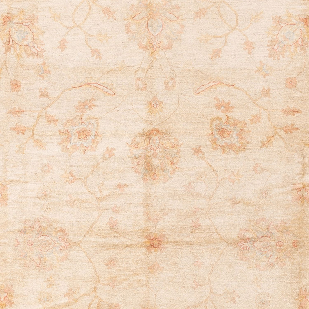 Tapis Ziegler - 592 x 403 cm - beige