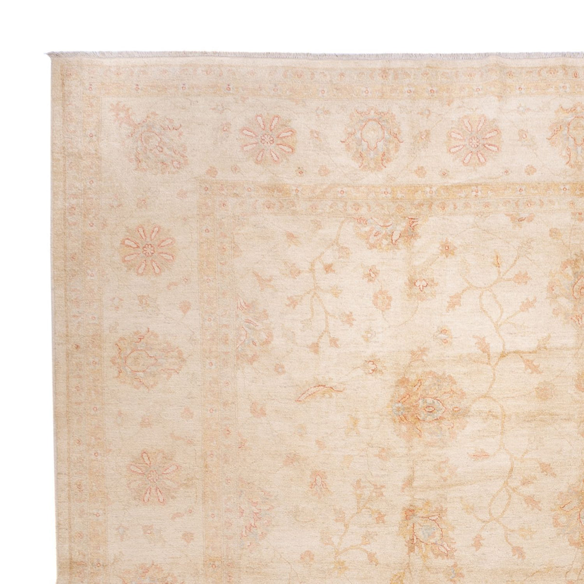 Tapis Ziegler - 592 x 403 cm - beige