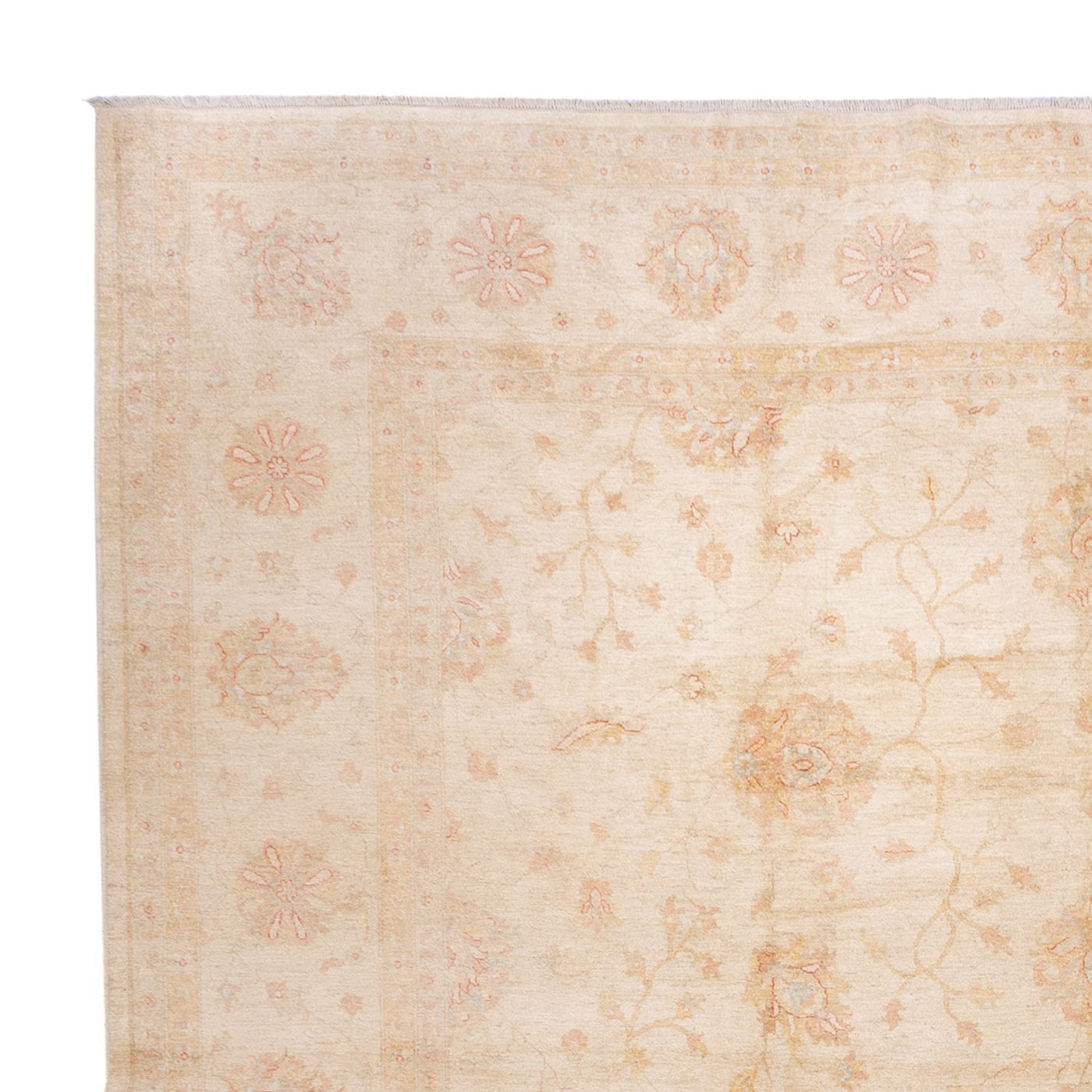 Tapis Ziegler 592x403cm - Tapis oriental