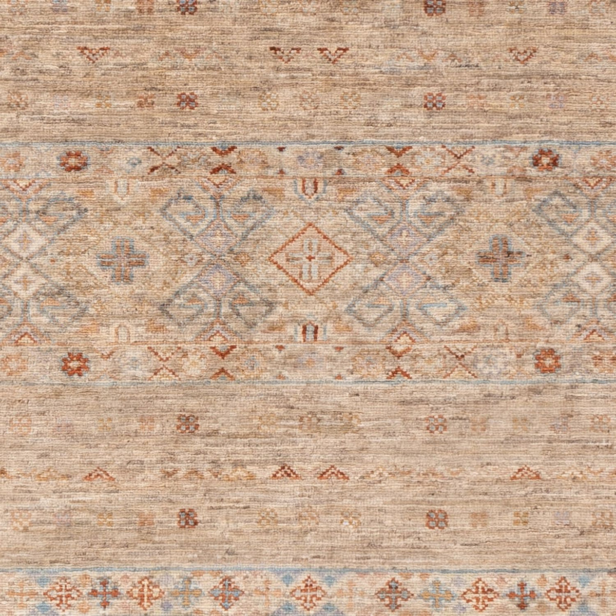 Tapis Ziegler - Ariana - 208 x 150 cm - beige