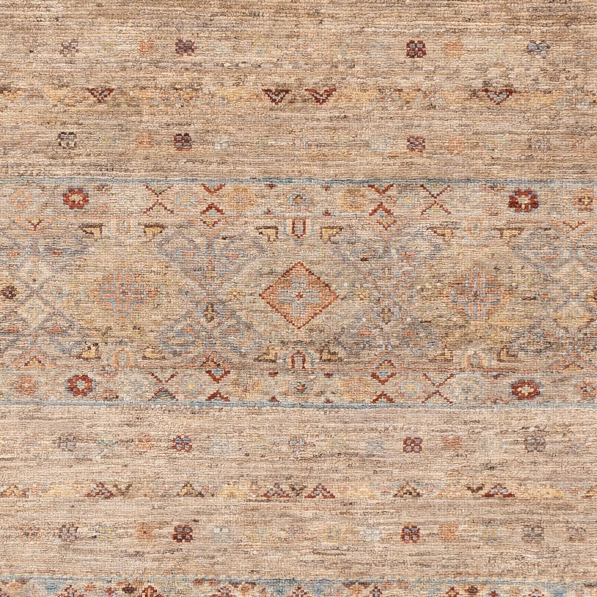 Tapis Ziegler - Ariana - 204 x 154 cm - beige