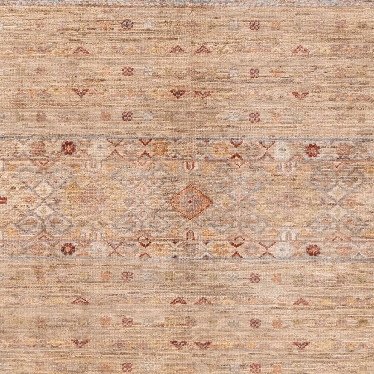 Tapis Ziegler - Ariana - 245 x 173 cm - beige