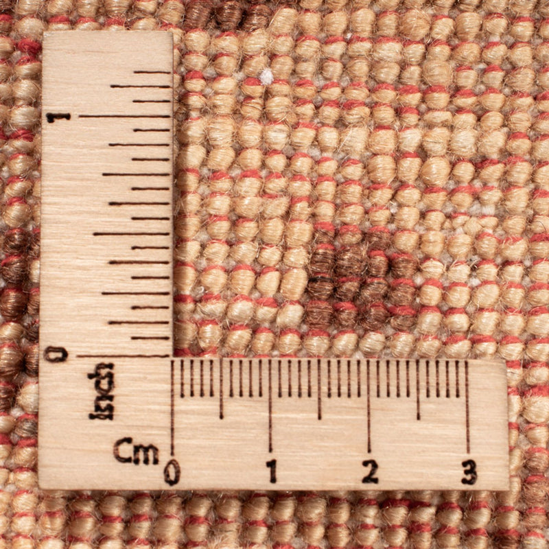 Tapis Ziegler - Ariana - 243 x 173 cm - beige