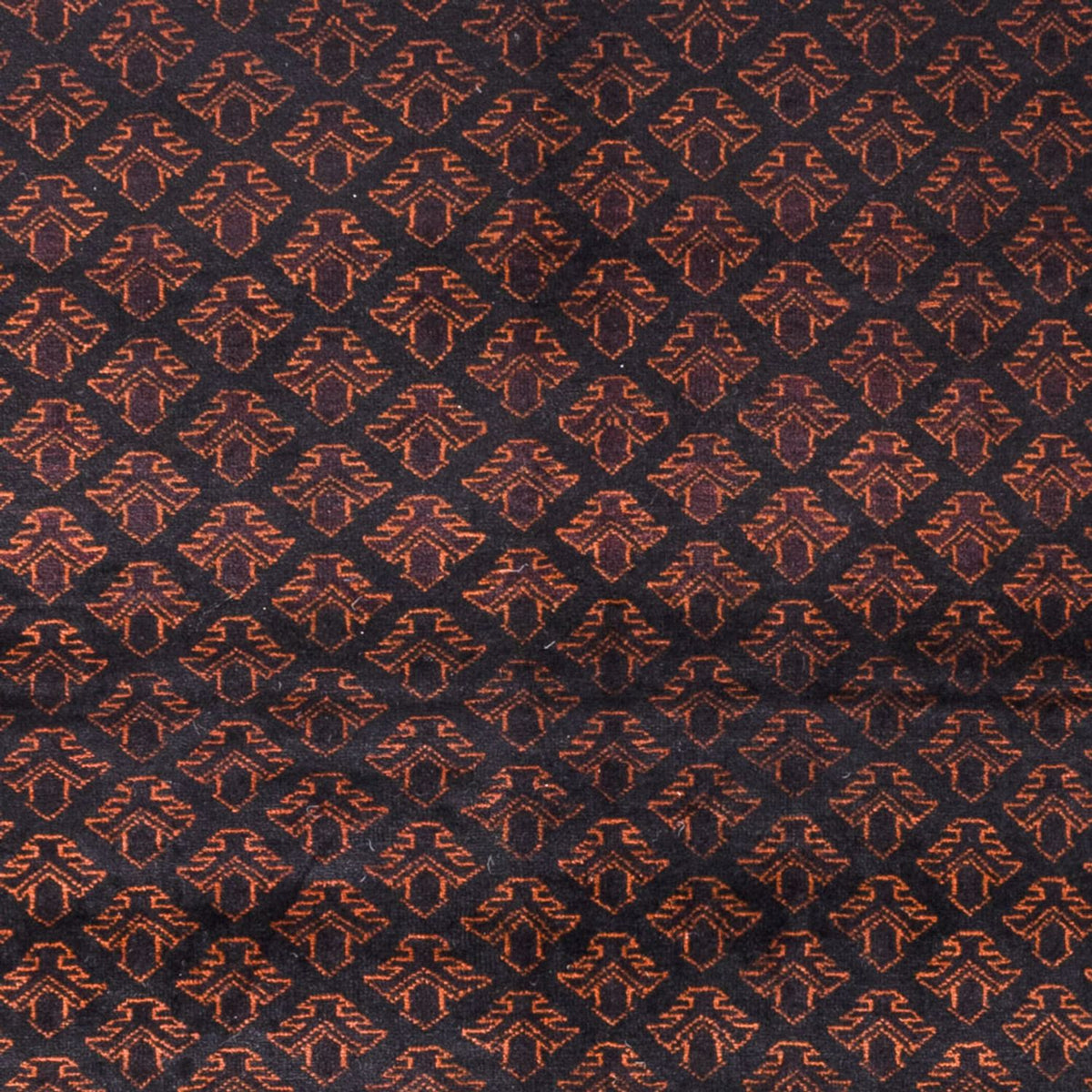 Tapis de couloir Tapis Belutsch - 236 x 122 cm - marron foncé