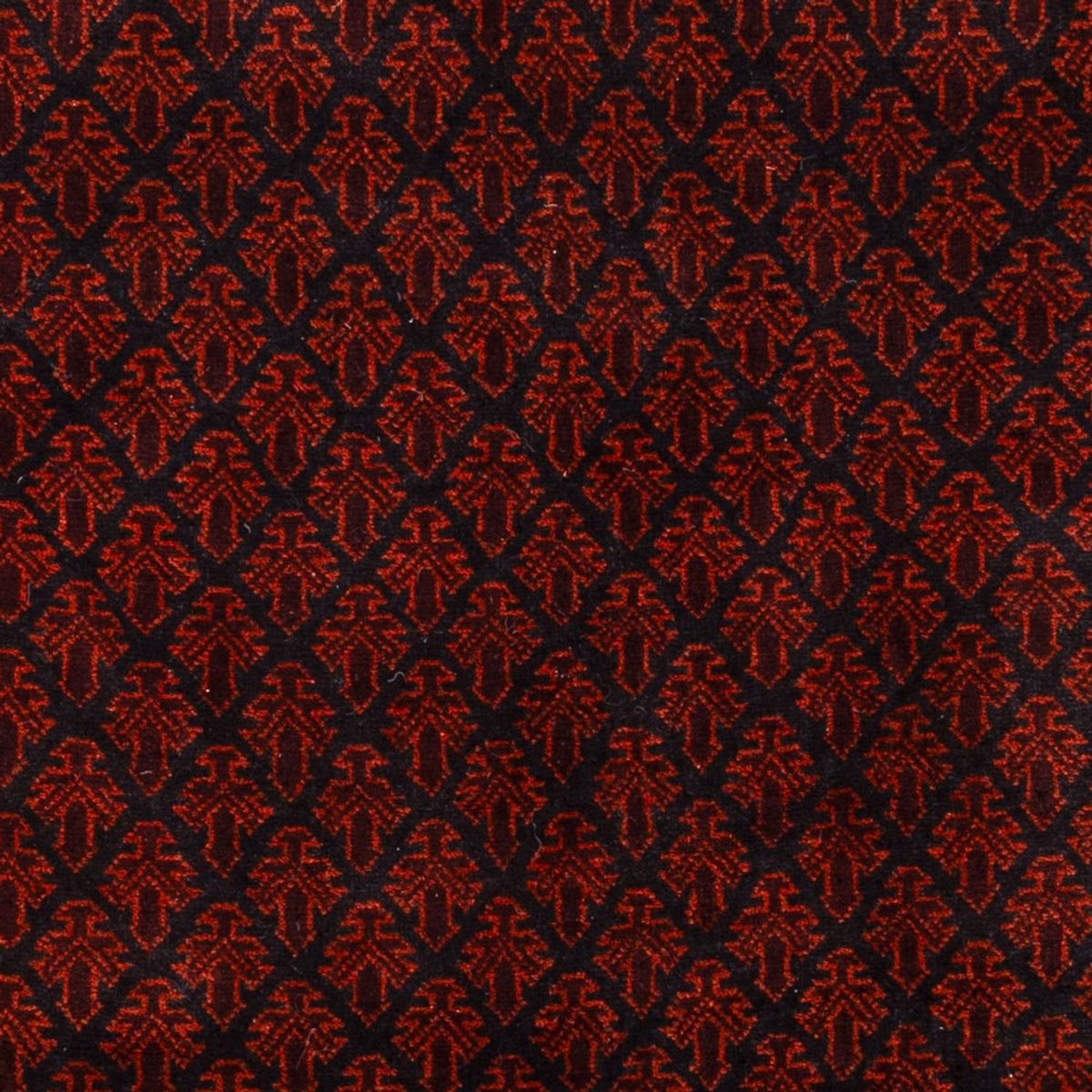 Tapis Belutsch - 188 x 123 cm - rouge foncé