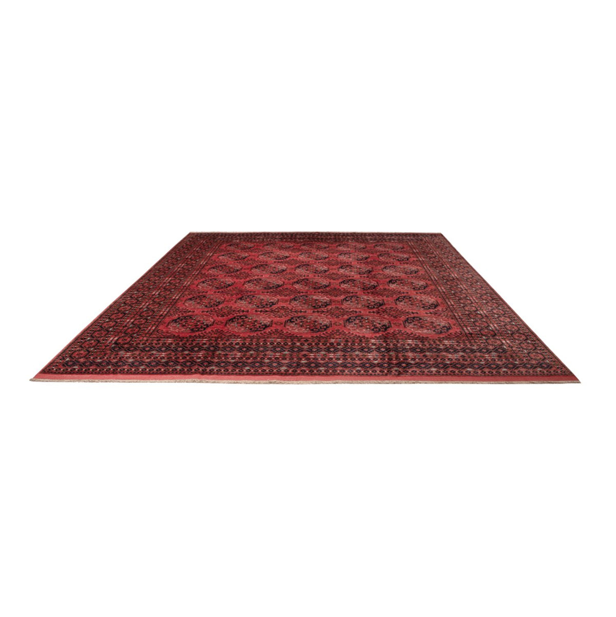 Tapis afghan - Boukhara - 404 x 351 cm - rouge