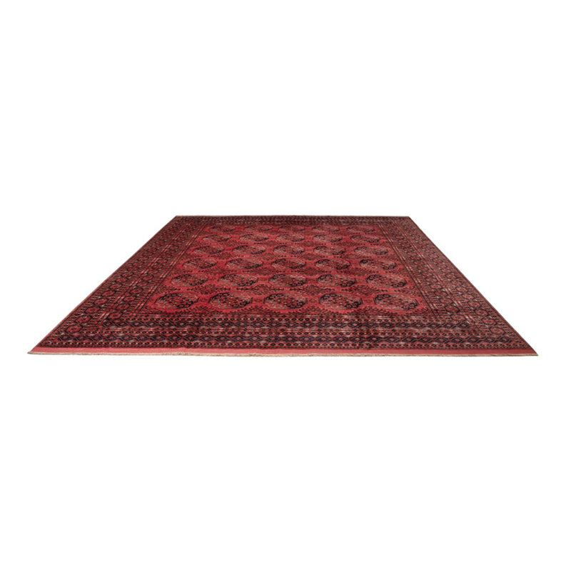 Tapis afghan - Boukhara - 404 x 351 cm - rouge