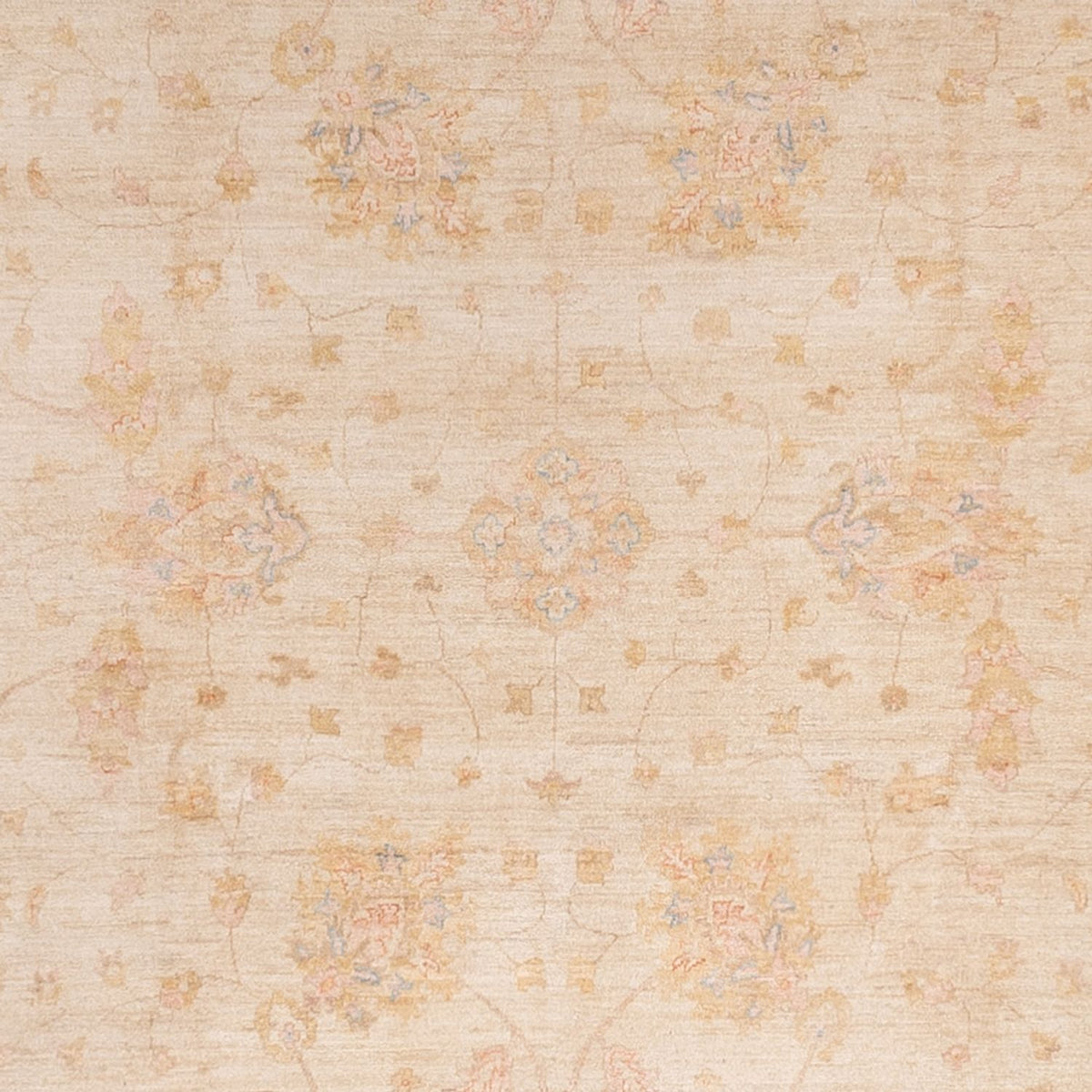 Tapis Ziegler - 494 x 301 cm - beige