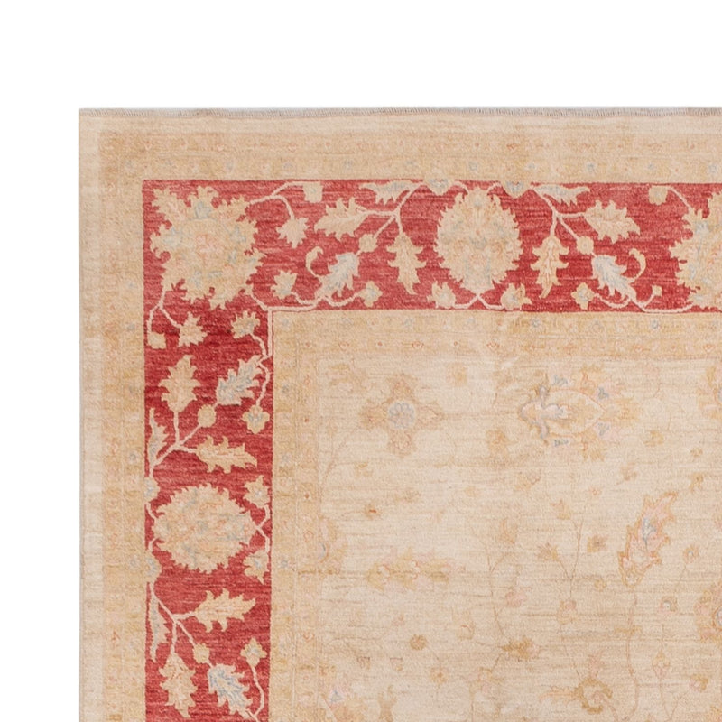 Tapis Ziegler - 494 x 301 cm - beige