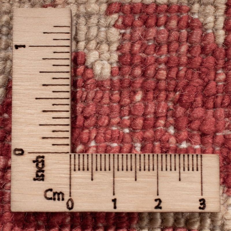 Tapis Ziegler - 494 x 301 cm - beige