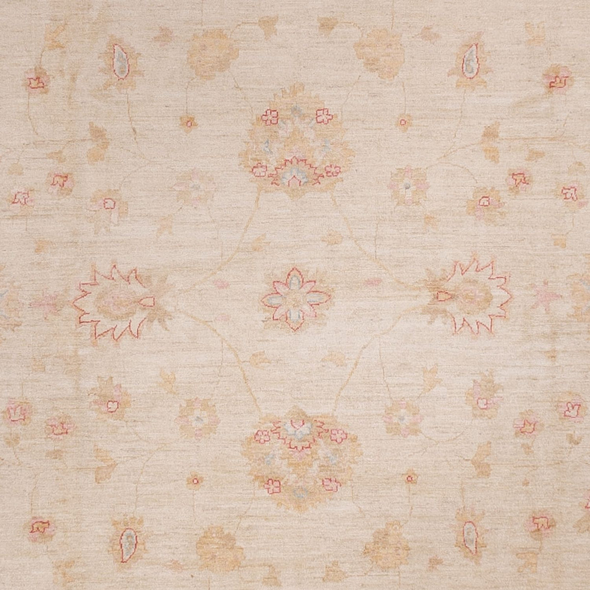 Tapis Ziegler - 538 x 350 cm - beige