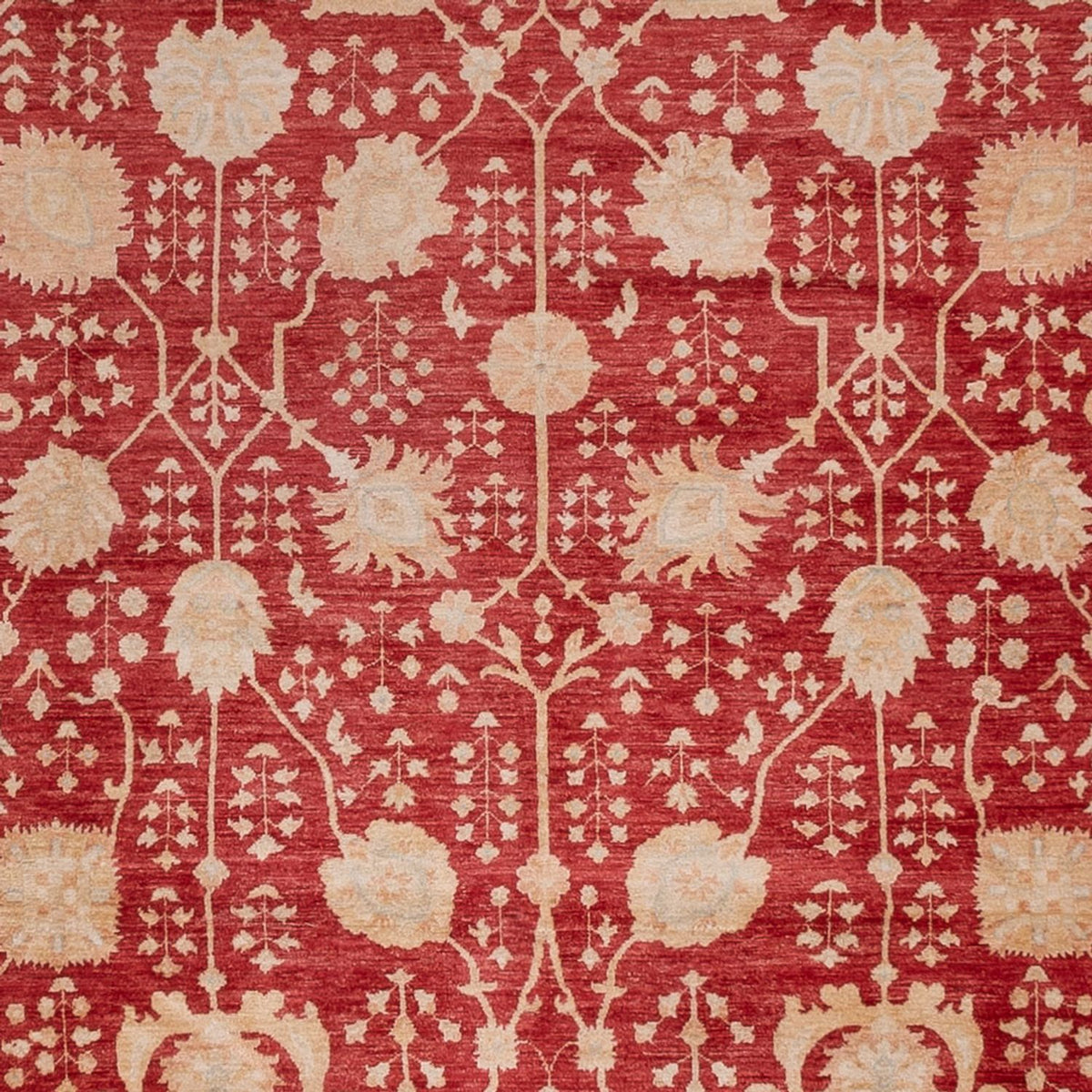 Tapis Ziegler - 495 x 400 cm - rouge