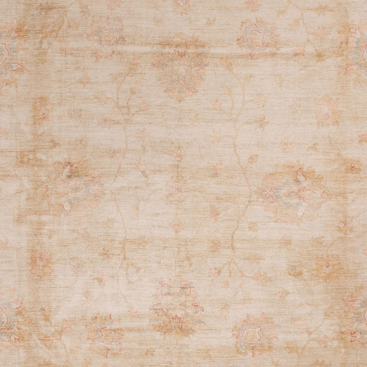 Tapis Ziegler - 503 x 393 cm - beige