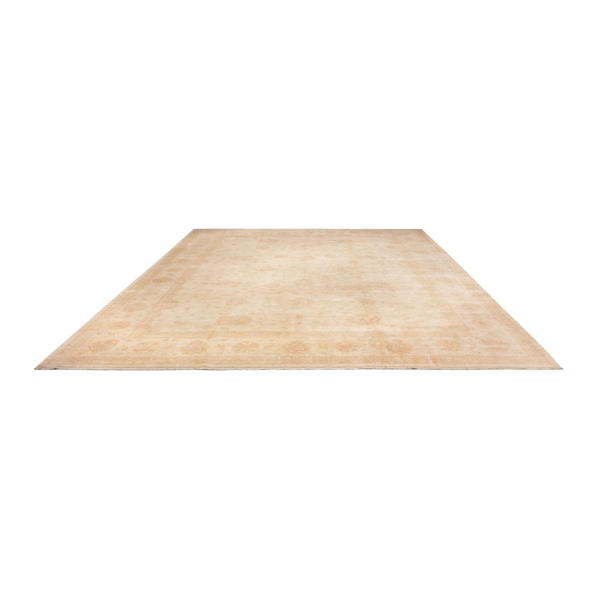 Tapis Ziegler - 503 x 393 cm - beige