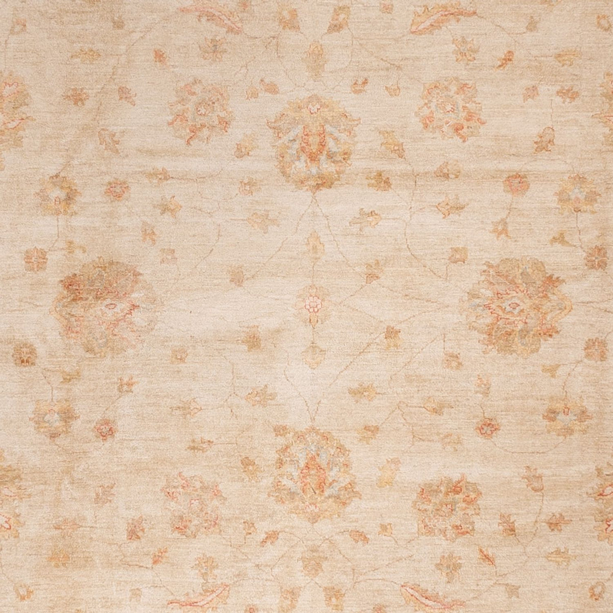 Tapis Ziegler - 498 x 405 cm - beige