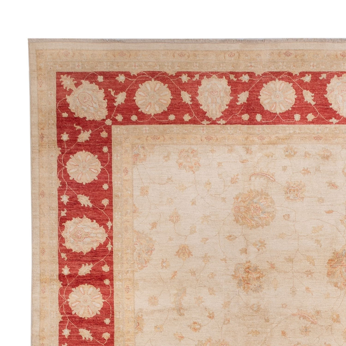 Tapis Ziegler - 498 x 405 cm - beige