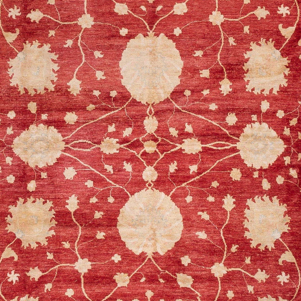 Tapis Ziegler - 521 x 400 cm - beige