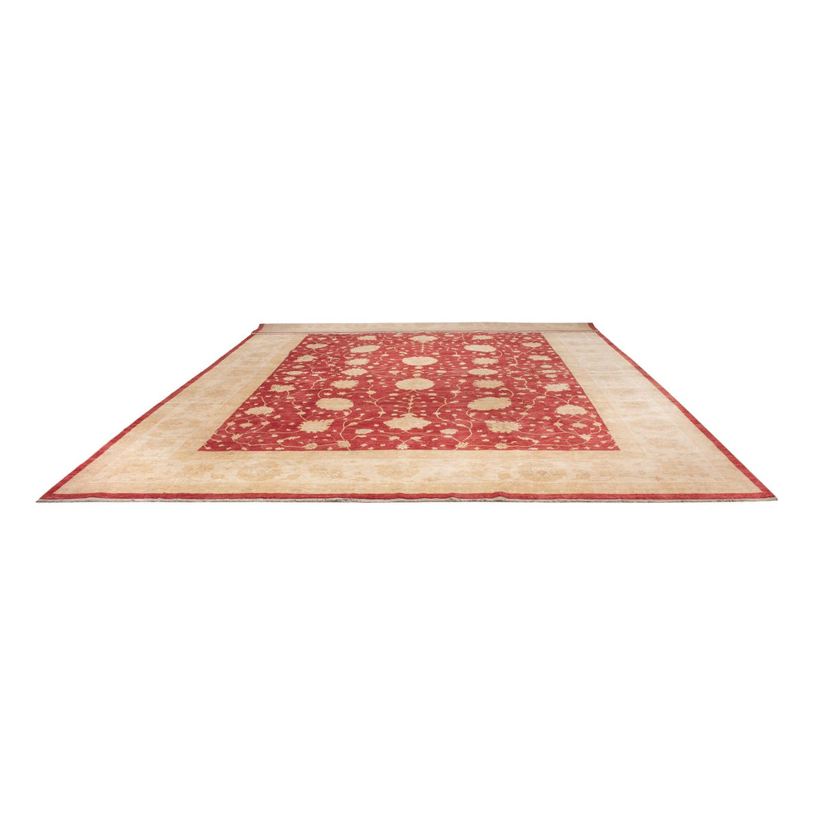 Tapis Ziegler - 521 x 400 cm - beige