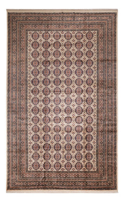 Tapis afghan - 492 x 303 cm - beige foncé