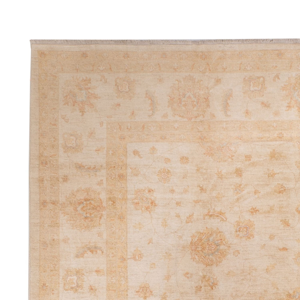 Tapis Ziegler - 541 x 348 cm - beige
