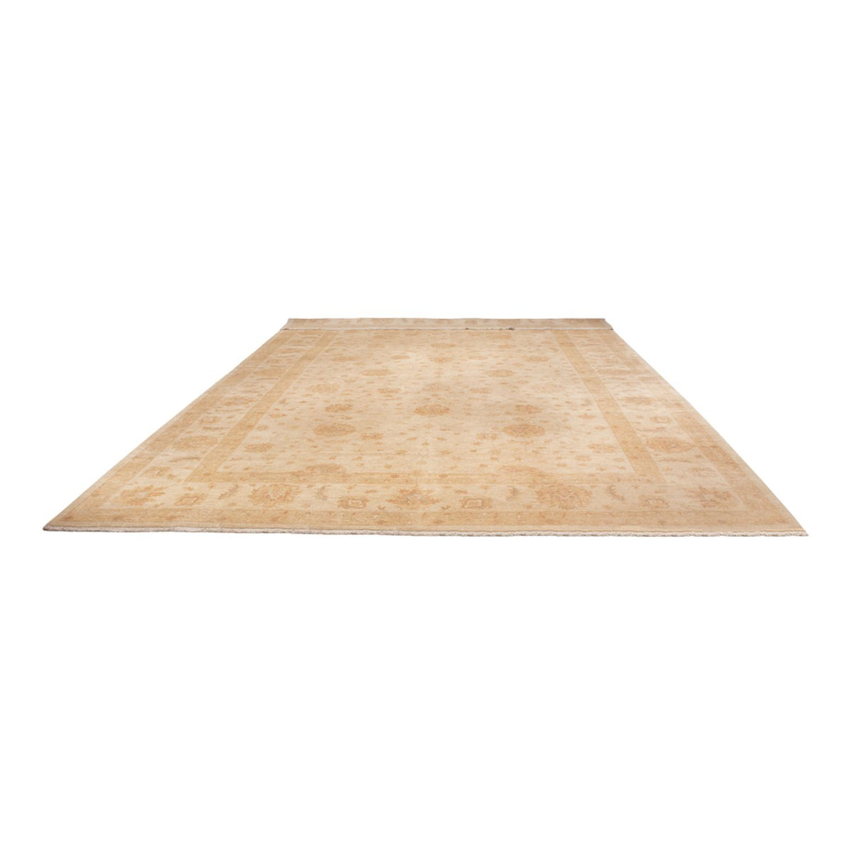 Tapis Ziegler - 541 x 348 cm - beige