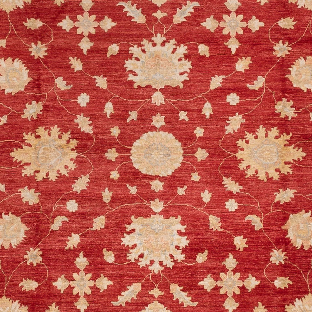Tapis Ziegler - 496 x 362 cm - rouge