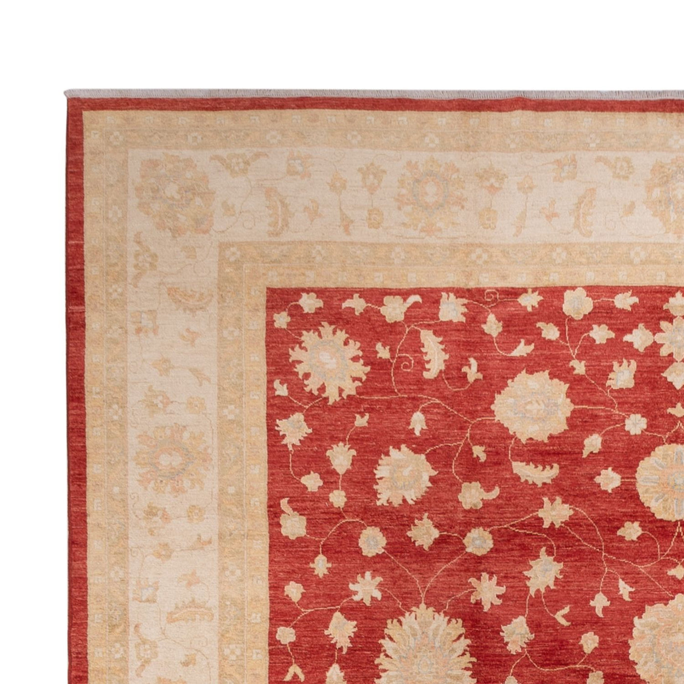 Tapis Ziegler 496x362cm - Tapis oriental