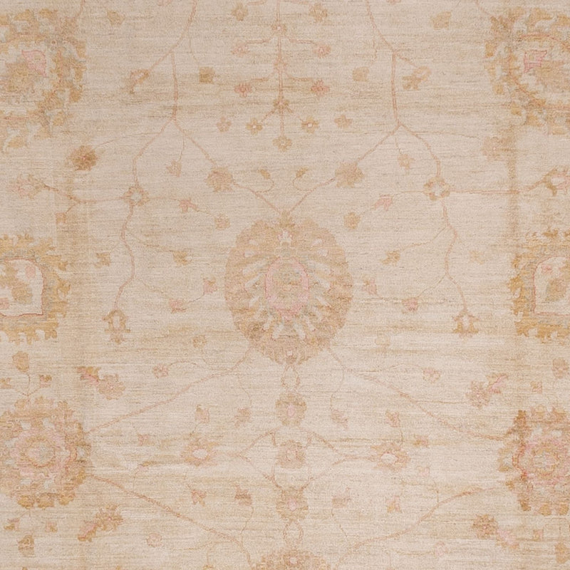 Tapis Ziegler - 543 x 350 cm - beige