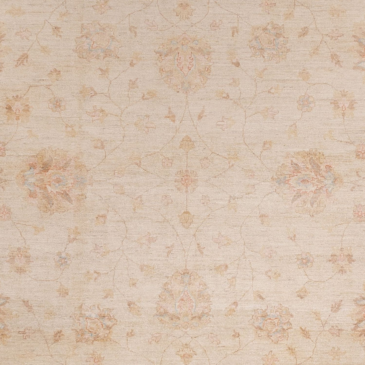 Tapis Ziegler - 487 x 301 cm - beige