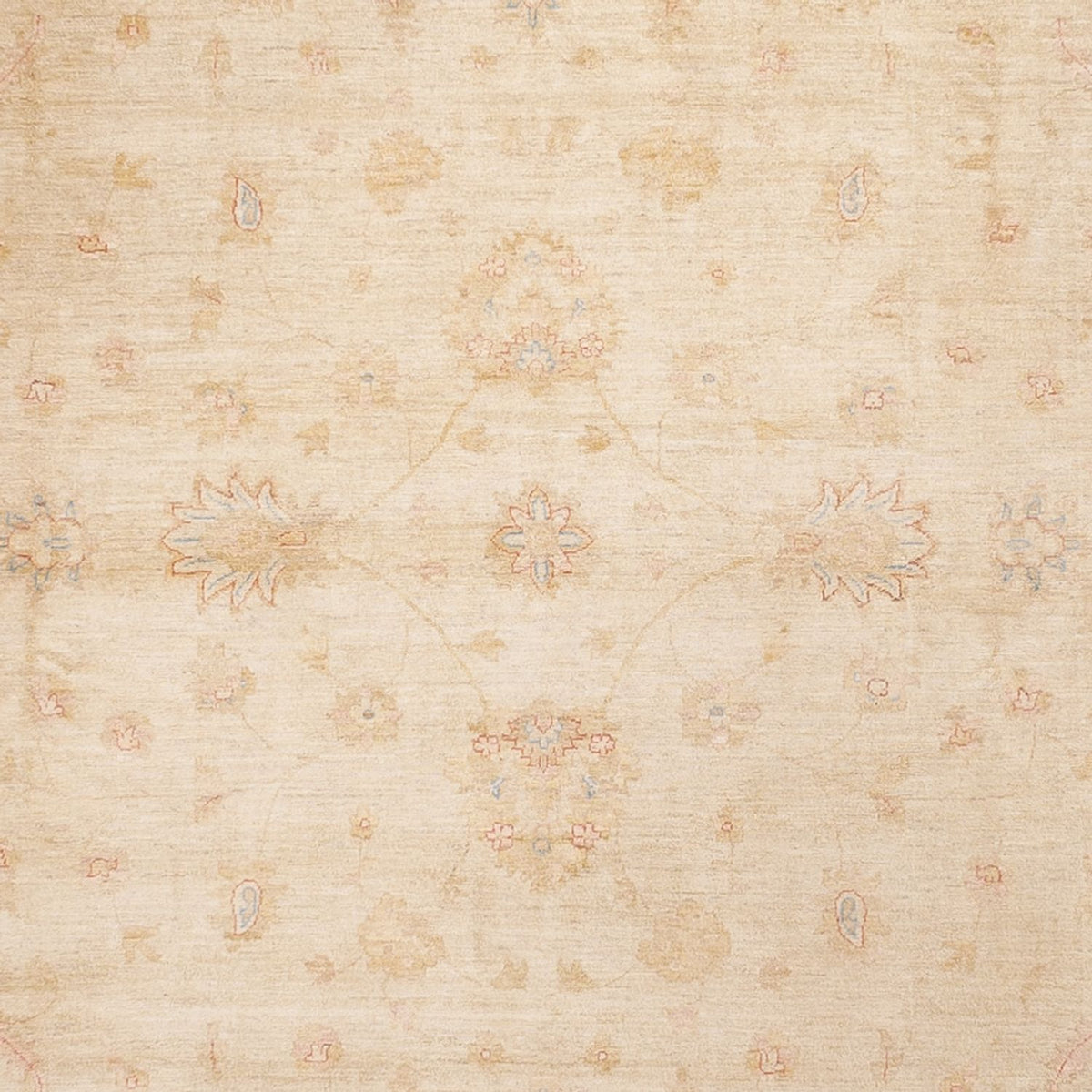 Tapis Ziegler - 488 x 398 cm - beige