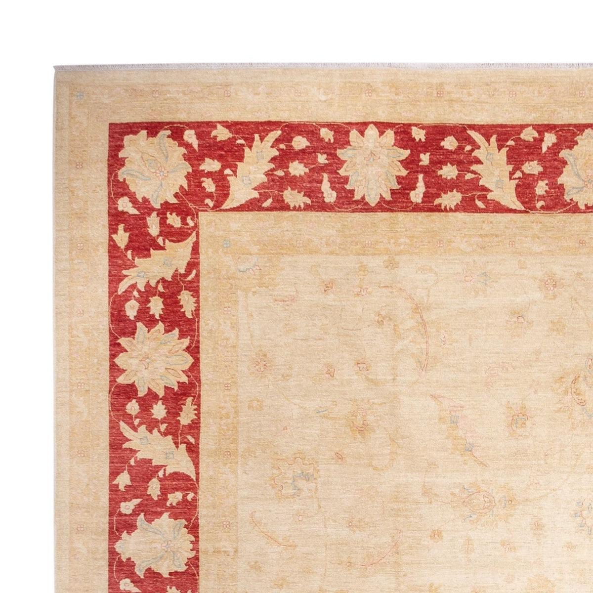 Tapis Ziegler - 488 x 398 cm - beige