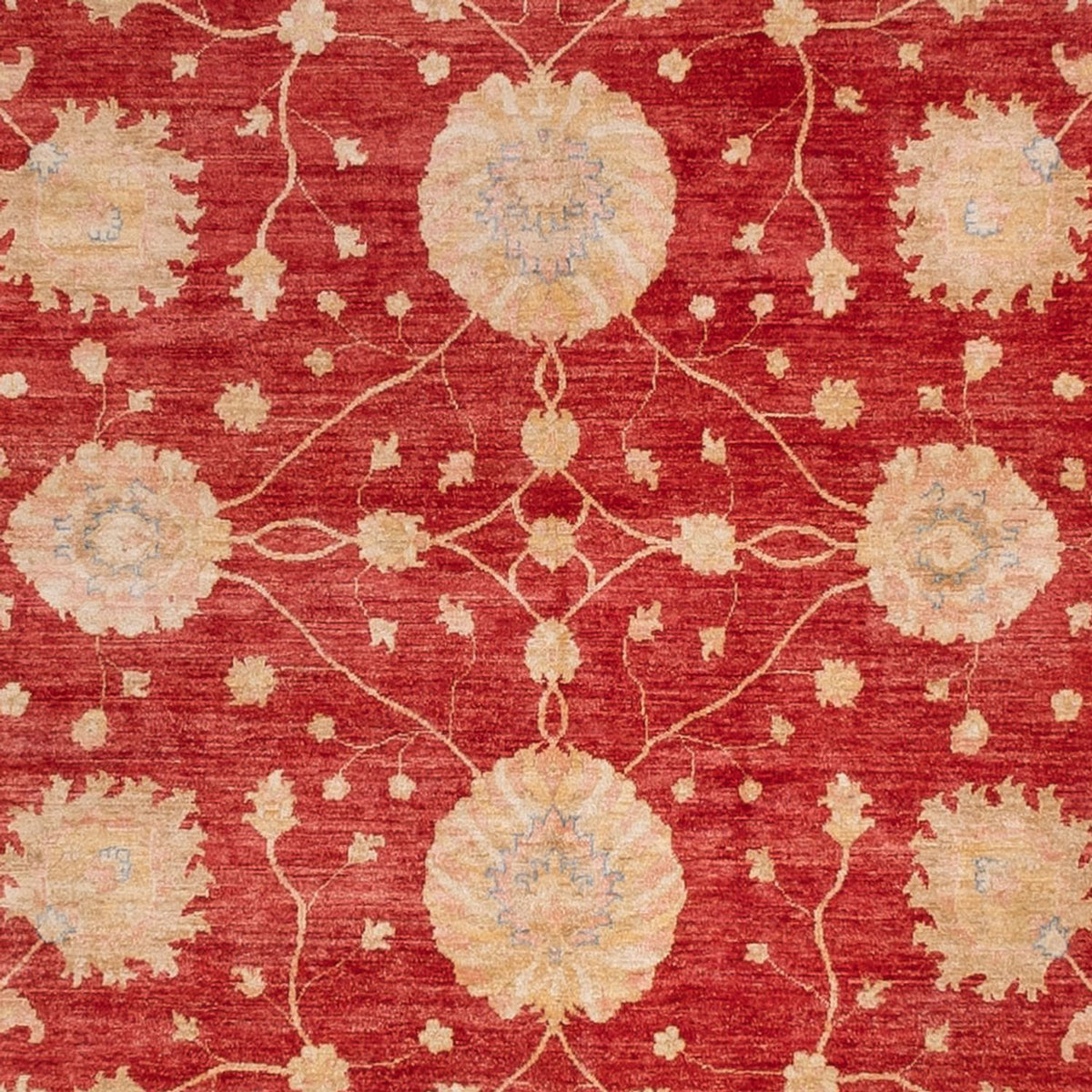 Tapis Ziegler carré  - 392 x 403 cm - rouge