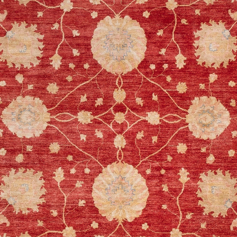 Tapis Ziegler carré  - 392 x 403 cm - rouge