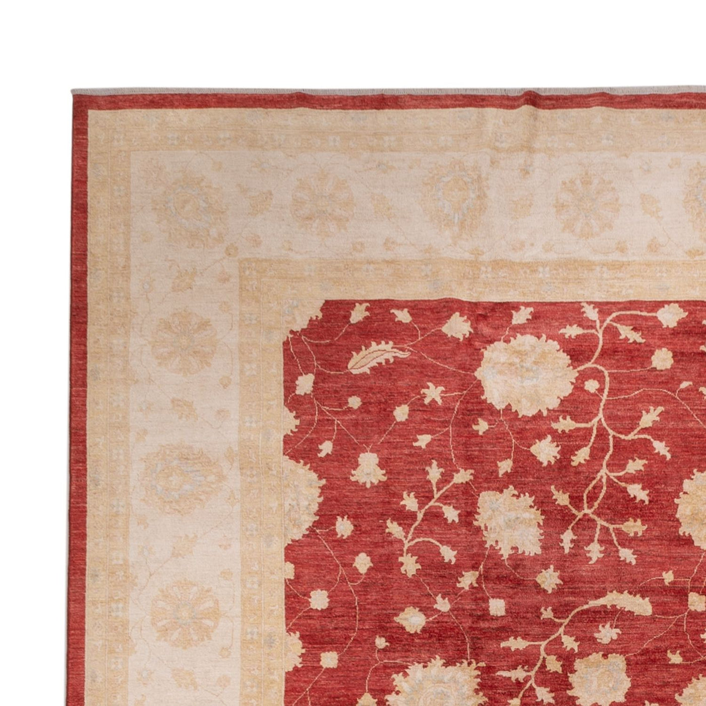 Tapis Ziegler 491x405cm - Tapis oriental