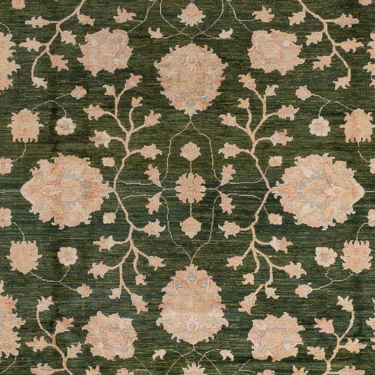 Tapis Ziegler - 440 x 308 cm - vert