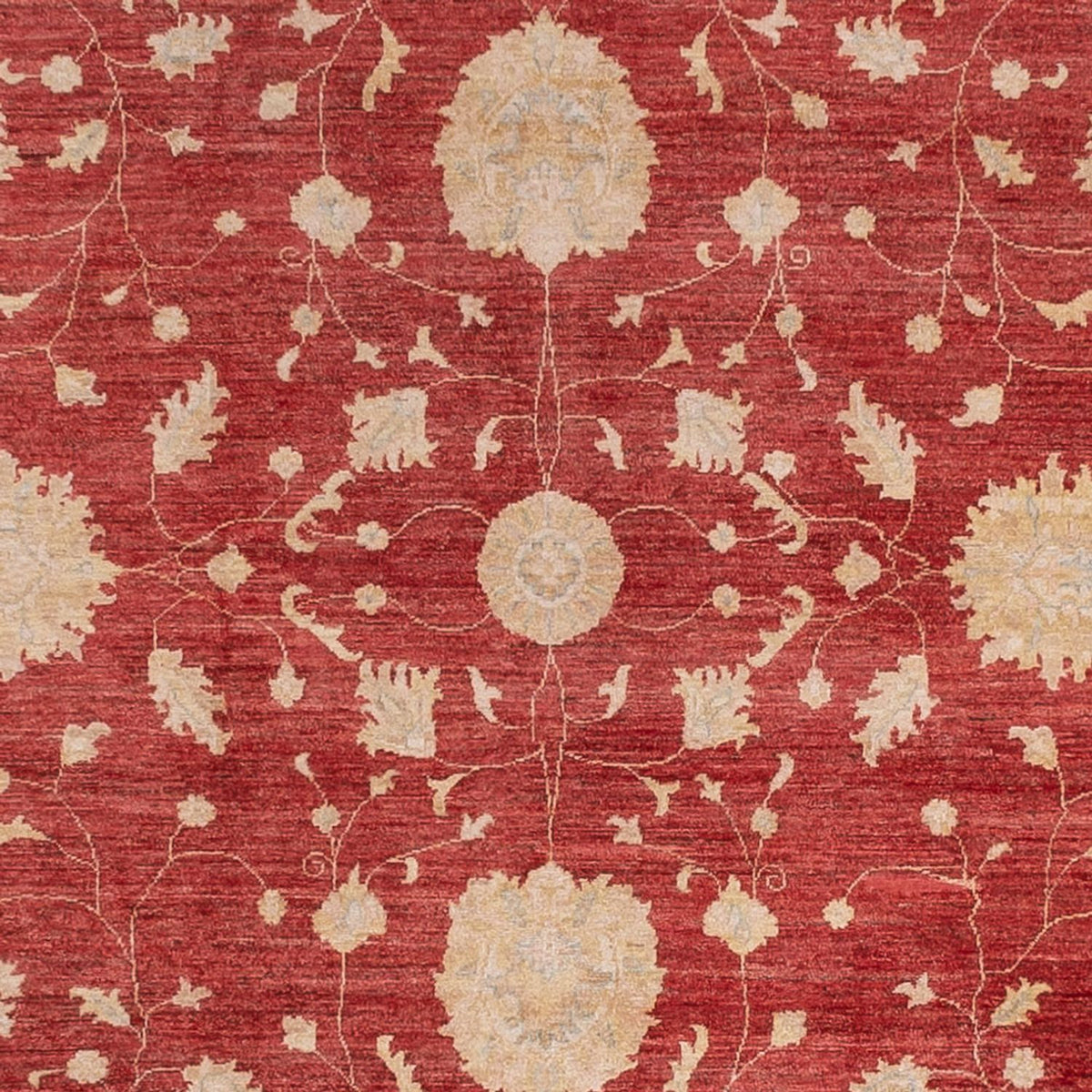Tapis Ziegler - 444 x 310 cm - rouge