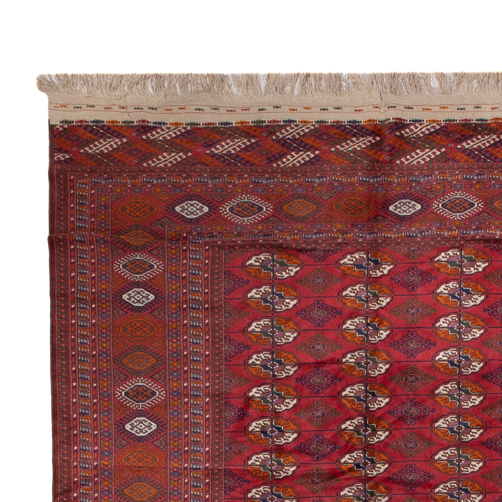 Tapis de Boukhara Tapis 505x308cm - Tapis oriental