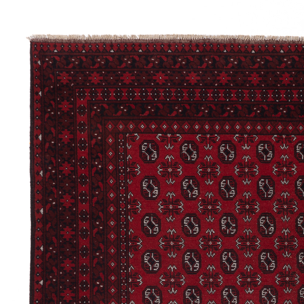Akhche Tapis 245x302cm - Tapis oriental