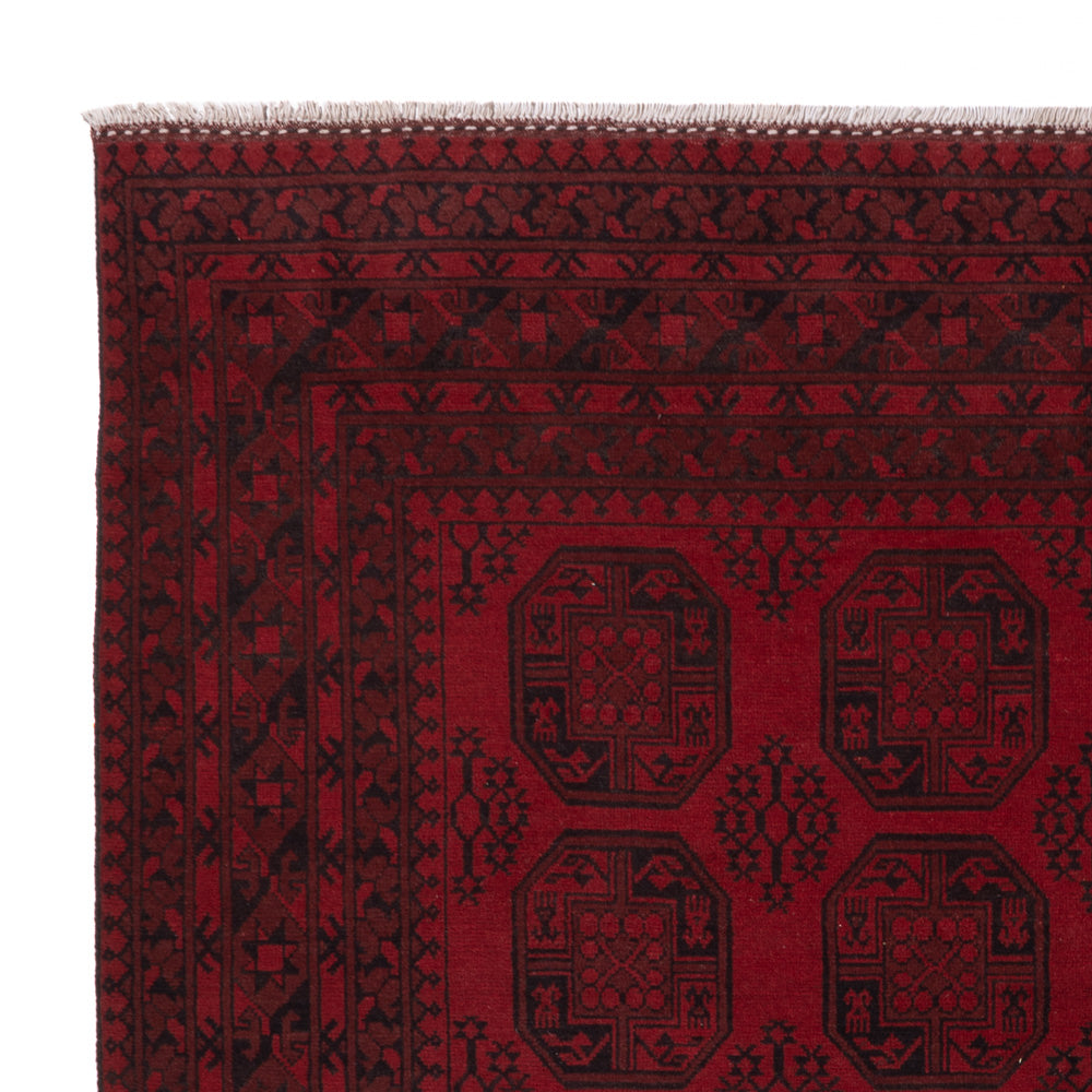 Akhche Tapis 301x249cm - Tapis oriental