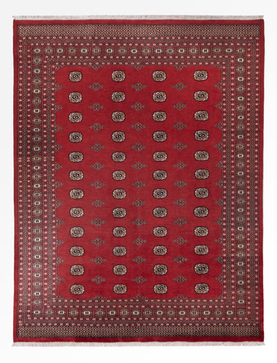Tapis Pakistani 251x331cm - Tapis oriental