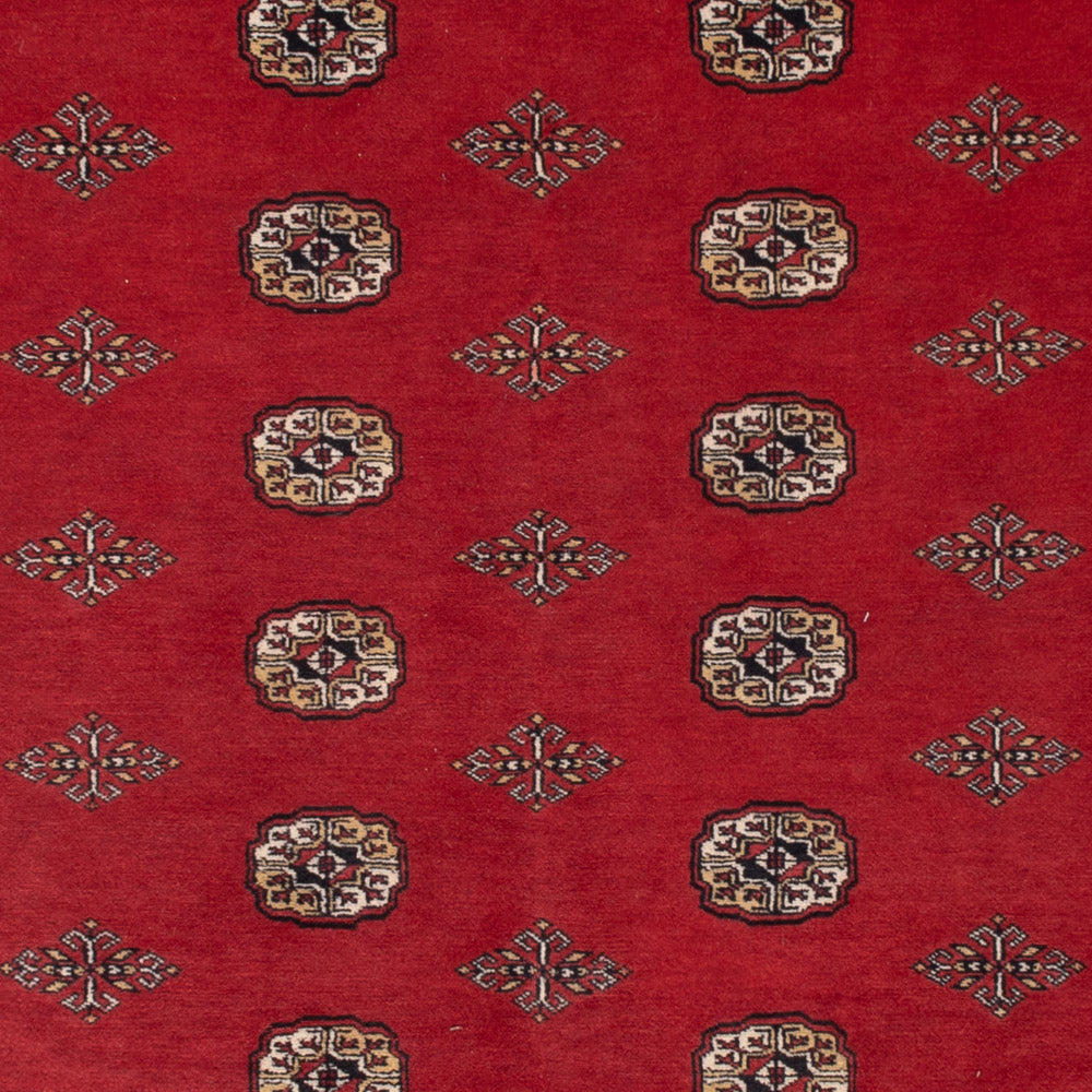 Pakistan Teppich - 331 x 251 cm - rot