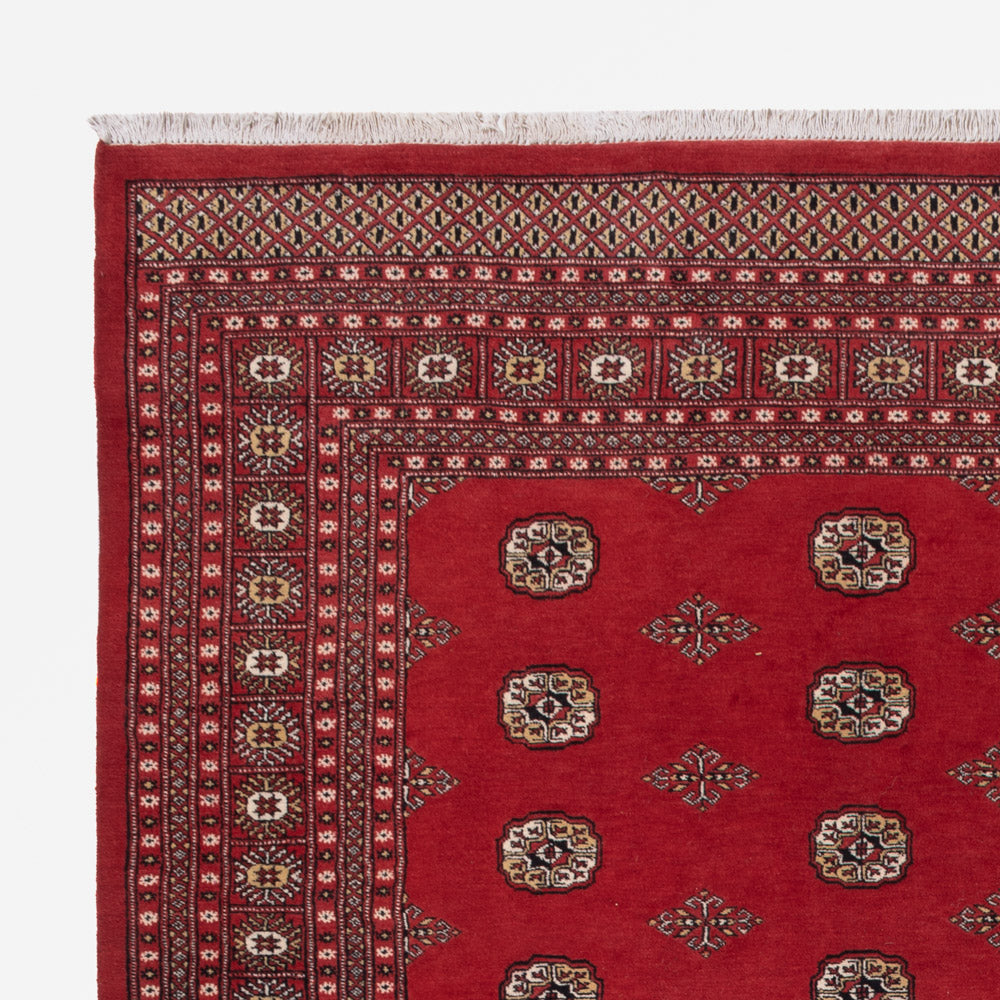 Tapis Pakistani 251x331cm - Tapis oriental